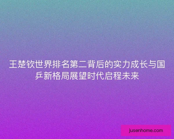 王楚钦世界排名第二背后的实力成长与国乒新格局展望时代启程未来